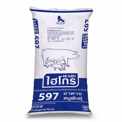 รูปภาพของ ไฮโกร อาหารหมูพันธุ์ 597 30 กก.