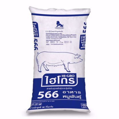 รูปภาพของ ไฮโกร อาหารหมูพันธุ์ 566D 30 กก.