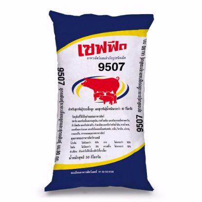 รูปภาพของ เซฟฟีด อาหารหมู 9507 30 กก.